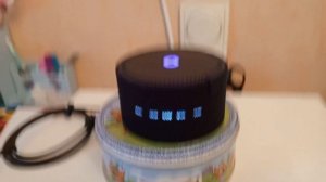 как играть с Алисой в игру со Смешариками без игрушки