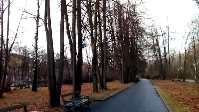 Москва 1251 улица Косыгина, смотровая площадка Воробьёвы горы осень утро смотреть онлайн