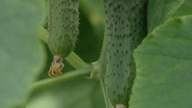 23 08 20113 смотреть онлайн