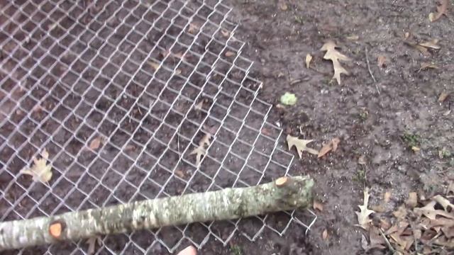 Chain Harrow смотреть онлайн