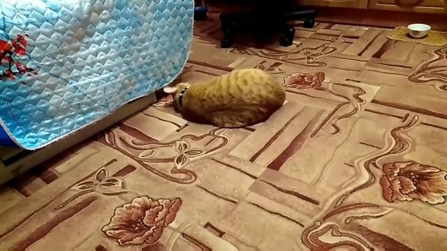 Реакция на запах хлорки смотреть онлайн