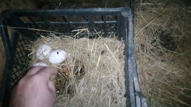 Строительные Танцы