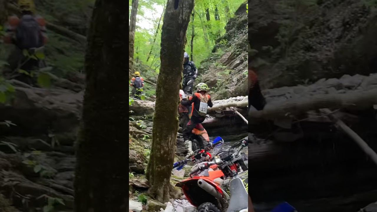 28 августа 2023 г. смотреть онлайн