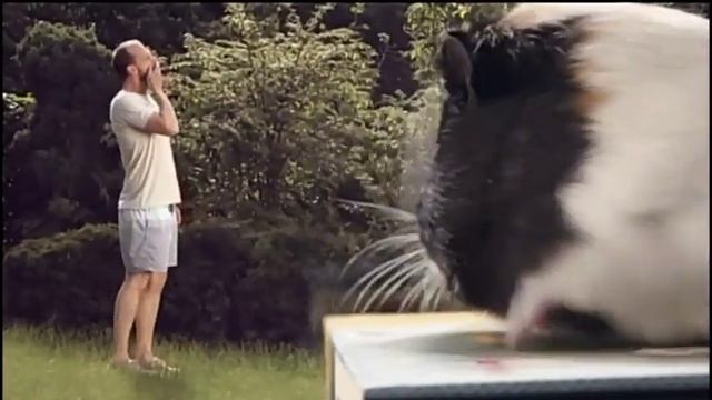 РЕКЛАМА на чешском языке смотреть онлайн