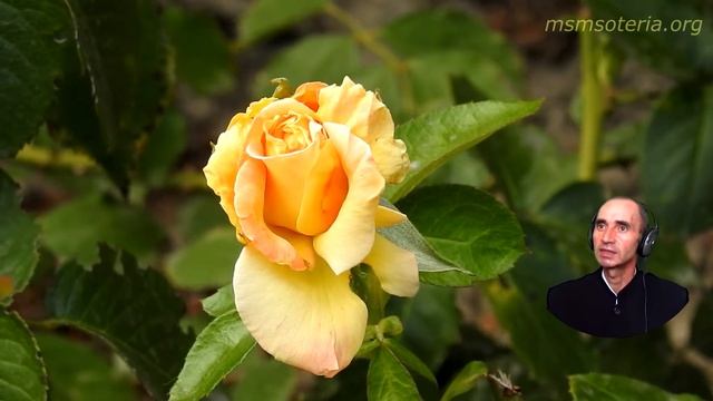 Сестрам во Христе! Христианские Стихи смотреть онлайн