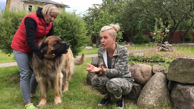 Анекдот про «аватар» Дневник для своих;) ч.18