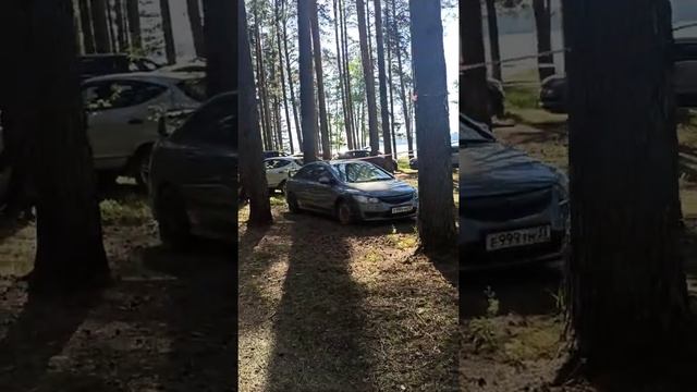 Обзор кемпинга Олений бор. Калязин. Тверская область? смотреть онлайн
