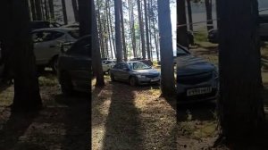 Обзор кемпинга Олений бор. Калязин. Тверская область?