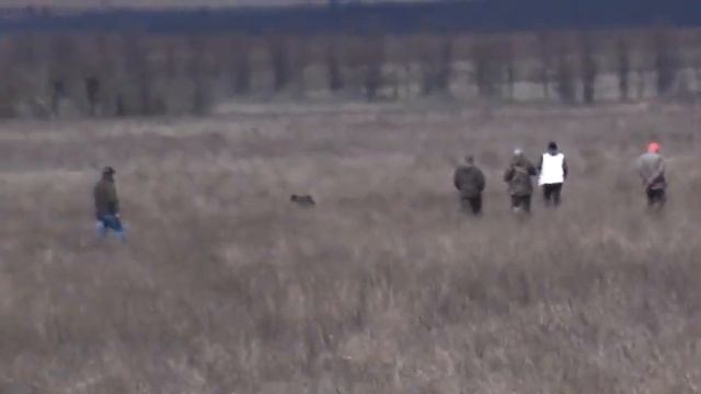 902 (28) Курцхаар Устинья Андрей Сергеев смотреть онлайн