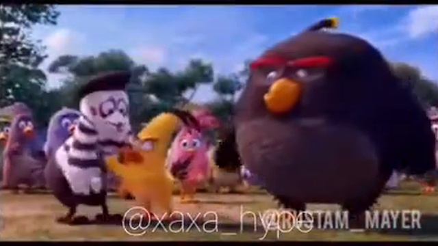 Смешная озвучка на Angry Birds смотреть онлайн