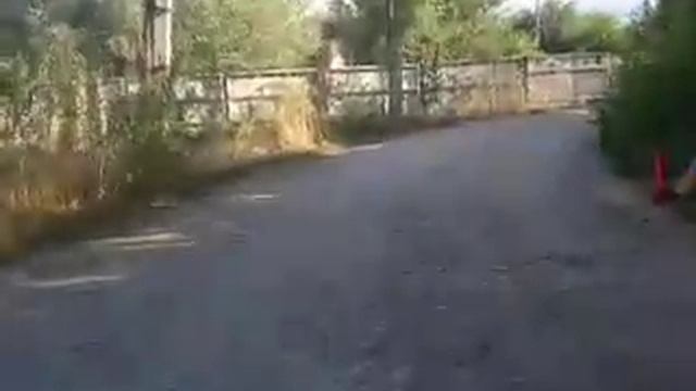 Найда)) хитрый рыжий бульдог) смотреть онлайн