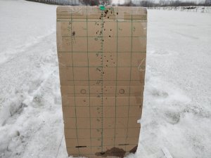 Выводы по пулям для пневматики до 3 джоулей