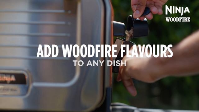 Ninja Woodfire Electric Outdoor Oven смотреть онлайн