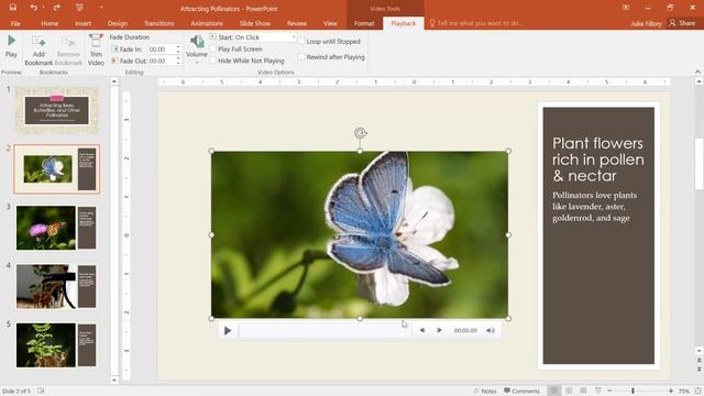 PowerPoint: Inserting Videos смотреть онлайн