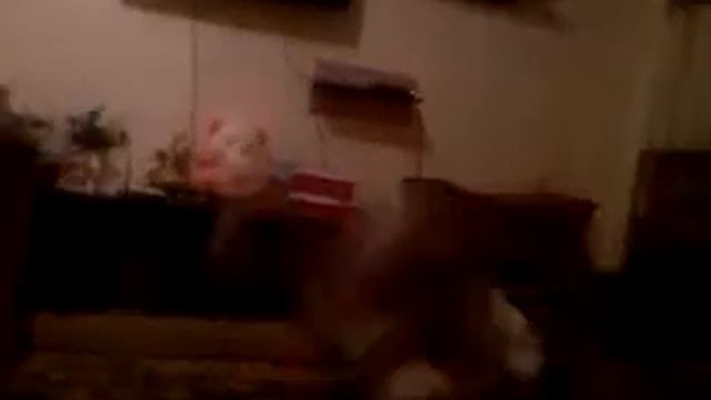 Как научится задний фляг смотреть онлайн