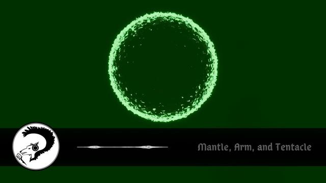 Mantle, Arm, and Tentacle by Timothy Mudie | Science Fiction Short Audiobook смотреть онлайн