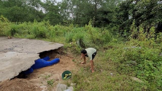 KING PYTHON90 | Spider-Man And Huggy Confront Giant Python To Save Young Man, King Cobra смотреть онлайн