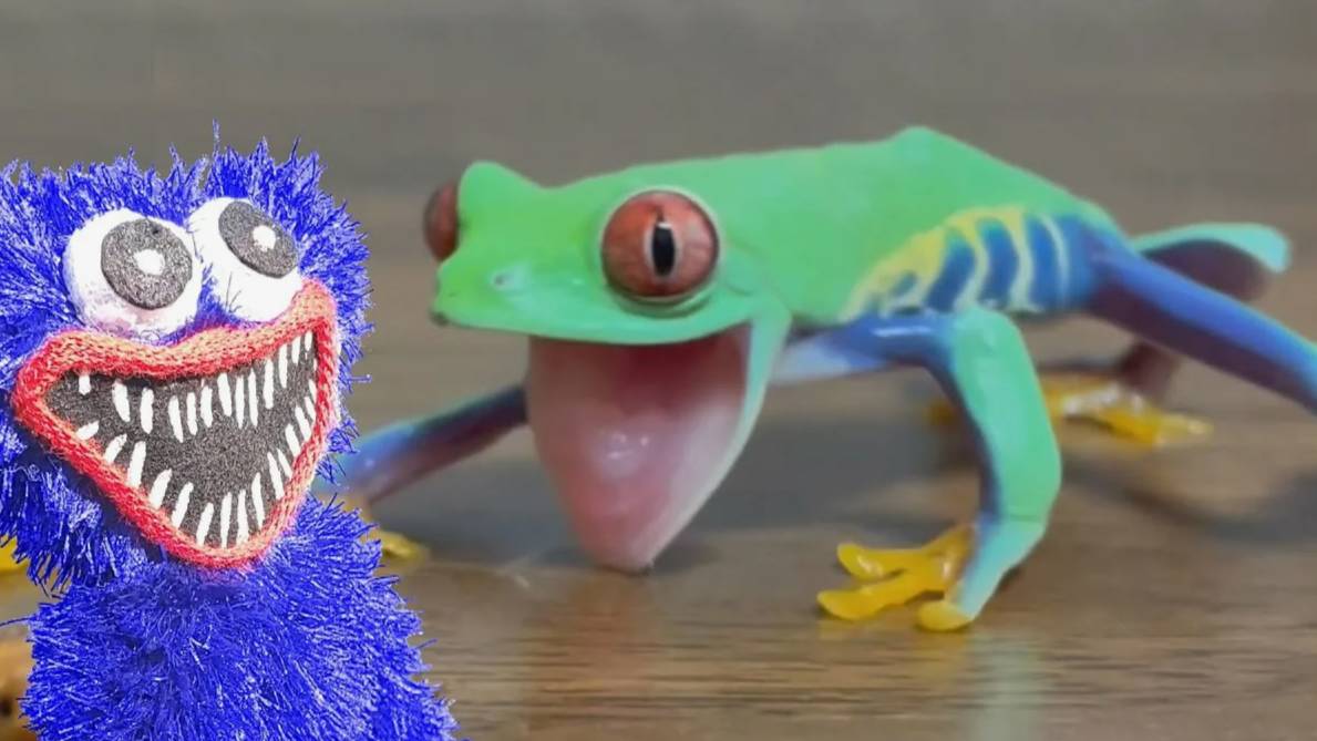 Хаги Ваги Кормит Лягушек Тараканами. смотреть онлайн