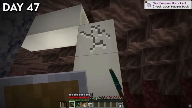 I Survived 100 Days in a 1x1 BORDER in Hardcore Minecraft... Here's What Happened смотреть онлайн