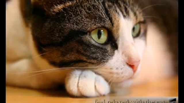 пусть в сердце моем смотреть онлайн