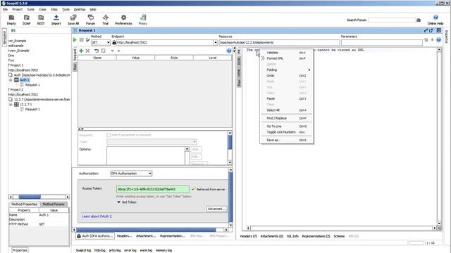 Other Web Services - REST API - Oracle Intelligent Advisor смотреть онлайн