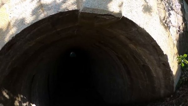 撮影中、本当に警察沙汰になりました・・・国道８号廃道　明治９年に廃トンネル探索！敦賀市阿曽隧道