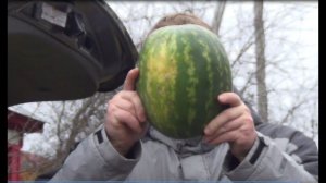 Регулировка крышки багажника с электроприводом тойота RAV 4. Что будет если прижмет голову.