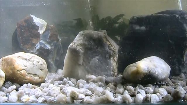 камень для аквариумов аэраторы v4 смотреть онлайн