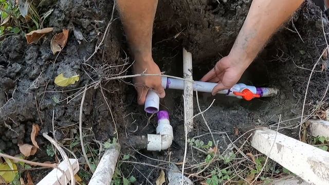 Экзамен на Гражданство США / $20 за Пару Часов / Новое Название Канала смотреть онлайн