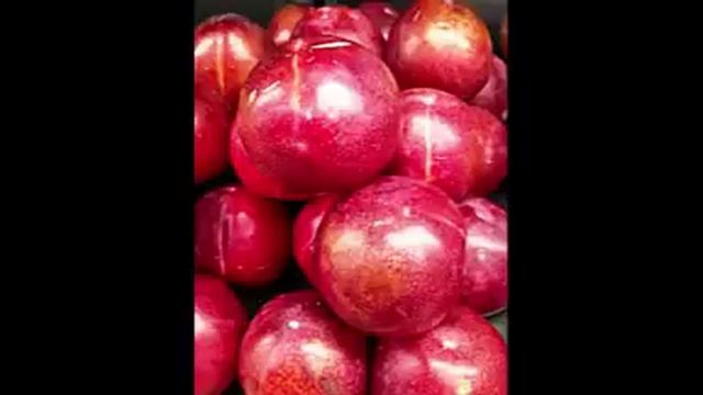 The plumcot fruit and Benefits смотреть онлайн