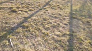 Как получить Ранний Урожай клубники на 14 Сотках, Какая температура под Накрывным Матерьялом