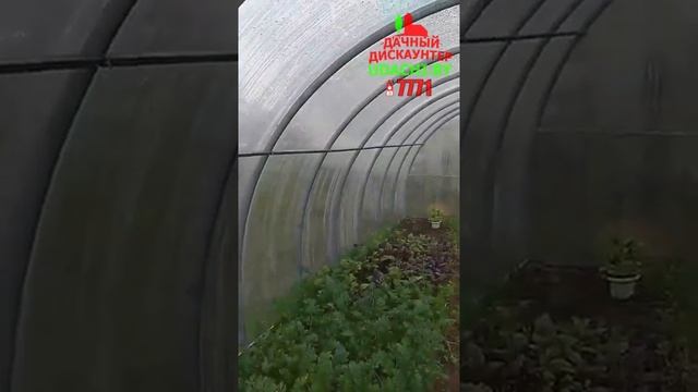 Отзыв на теплицу ComfortProm от довольной покупательницы! смотреть онлайн