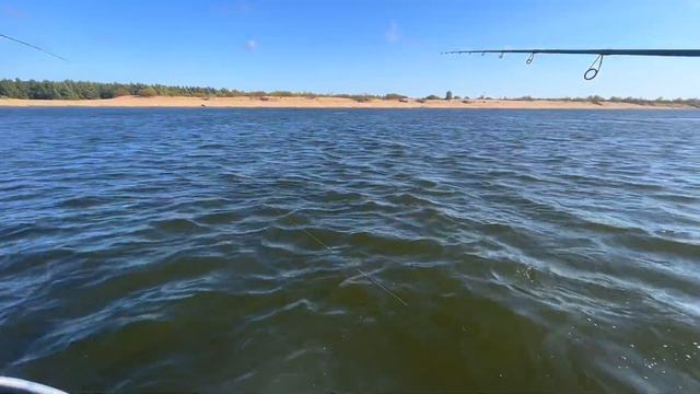 РЫБАЛКА НА ВОЛГЕ. ОЧЕНЬ МНОГО ЖЕРЕХА И ДРУГИЕ СЮРПРИЗЫ! смотреть онлайн