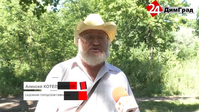 ДИМИТРОВГРАДЦЫ ПРОСЯТ СДЕЛАТЬ ИХ ПРОГУЛКИ ПО ПАРКУ БЕЗОПАСНЫМИ ДЛЯ ЗДОРОВЬЯ смотреть онлайн