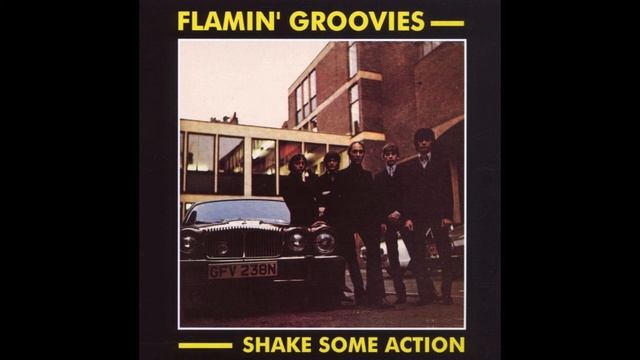 Void 00 - Shake Some Action (Flamin' Groovies Cover) смотреть онлайн
