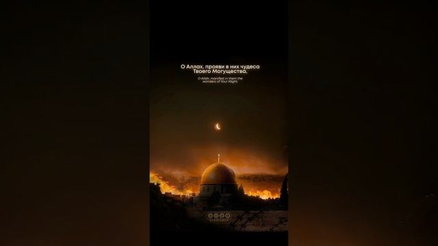 Дуа за Палестину смотреть онлайн