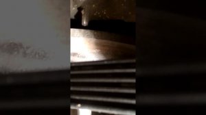 Мерс 124 кузов 111 мотор выставления зажигания