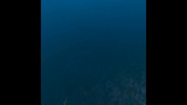 Ultimate Fishing Simulator VR.Летняя рыбалка. смотреть онлайн