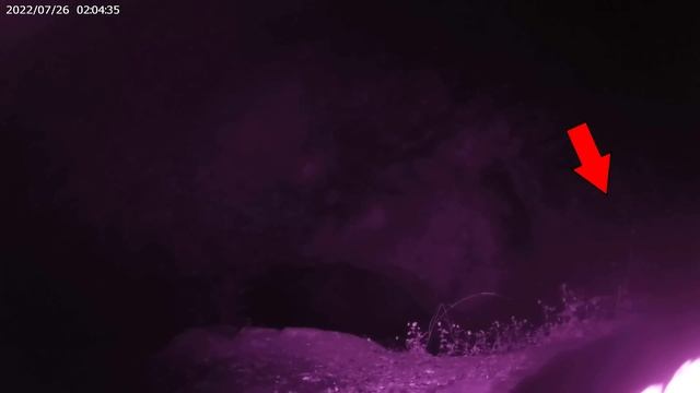 Kакво се КРИЕ в ГРАДА на МЪРТВИТЕ и ГРОБНИЦАТА на БАСТЕТ? - ЦЯЛА нощ в ПРИЗРАЧНАТА Странджа смотреть онлайн