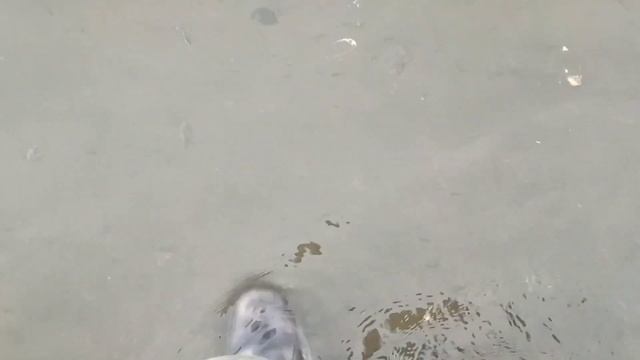 ОСТРОВ САРПИНСКИЙ 27.02.2022. SARPINSKY ISLAND. смотреть онлайн