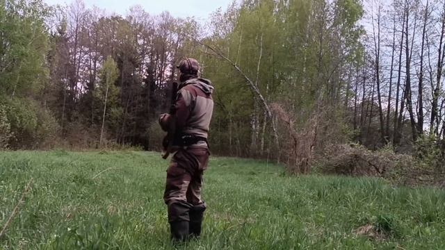 Охота на вальдшнепа. На тяге болие 15 птиц. Но я намазал.#охотанавальдшнепа#тяга#вальдшнеп#выстрел смотреть онлайн