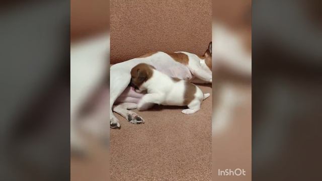 5 декабря 2020 г. смотреть онлайн