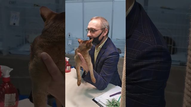 Выпускник на выставке продолжение смотреть онлайн
