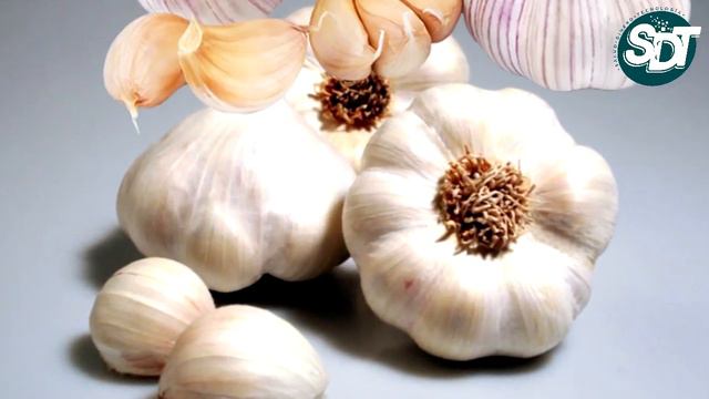 👉 🧄 El AJO para que sirve ¡Compruébalo! смотреть онлайн