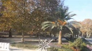 8 А класс едет в Сочи // Санаторий Юность.