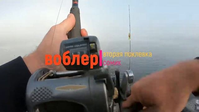 Воблер уделал снасточку с мертвой рыбкой! смотреть онлайн