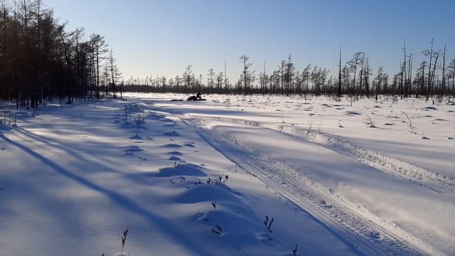 Мотособака SHARMAX 500/1450/15 переделана в толкач. смотреть онлайн