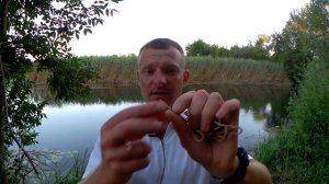 Стопор для силикона