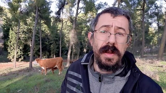 Зачем нужно соблюдать заповеди смотреть онлайн