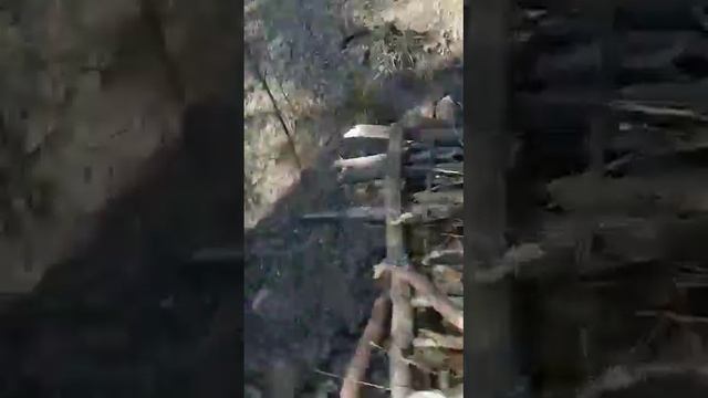 ЛЕСНАЯ ХИЖИНА СВОИМИ РУКАМИ.